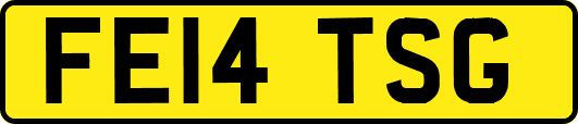 FE14TSG