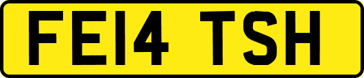 FE14TSH