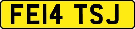 FE14TSJ