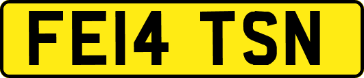 FE14TSN