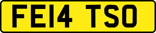 FE14TSO