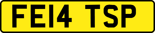 FE14TSP