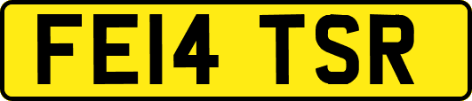 FE14TSR