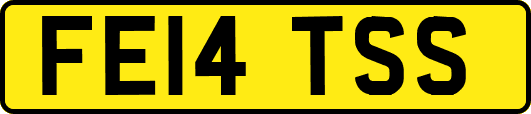 FE14TSS
