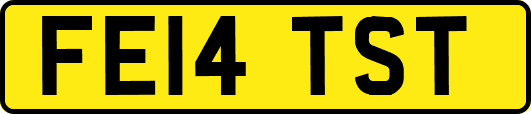FE14TST
