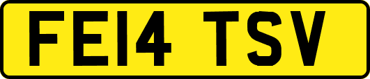 FE14TSV