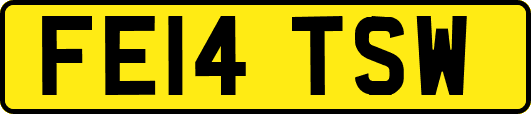 FE14TSW