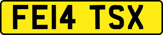 FE14TSX