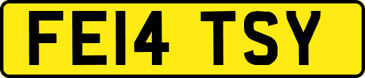 FE14TSY