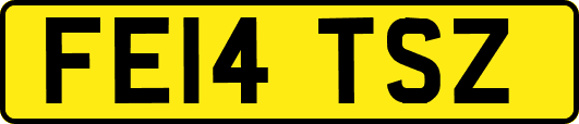 FE14TSZ
