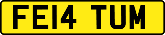 FE14TUM