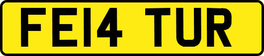 FE14TUR