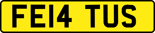 FE14TUS