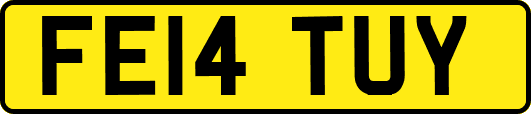 FE14TUY