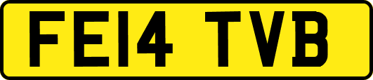 FE14TVB