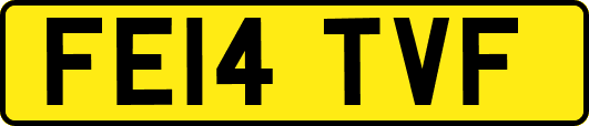 FE14TVF