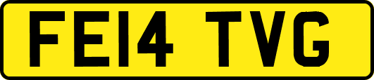FE14TVG