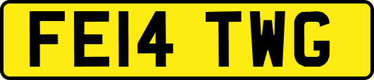 FE14TWG