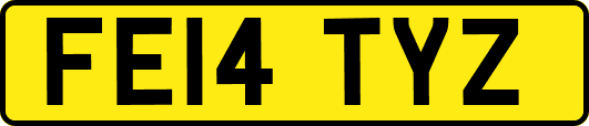 FE14TYZ
