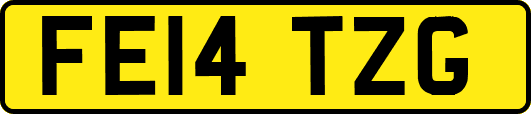 FE14TZG