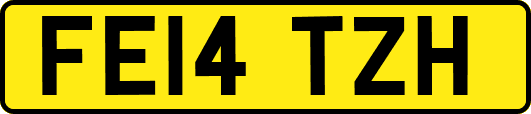 FE14TZH