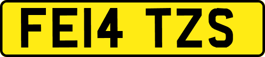 FE14TZS