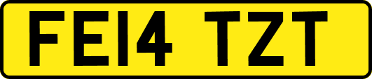 FE14TZT