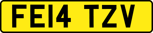 FE14TZV