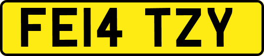FE14TZY