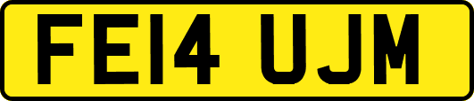 FE14UJM