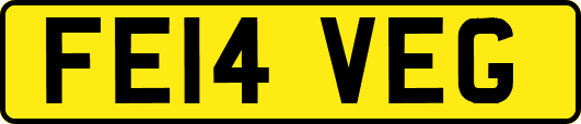 FE14VEG