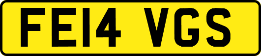 FE14VGS