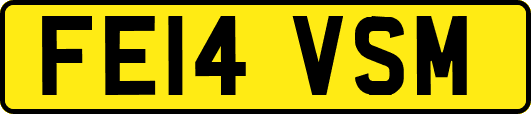 FE14VSM