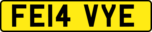 FE14VYE