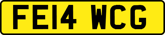 FE14WCG