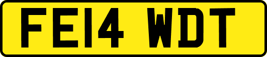 FE14WDT