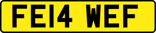 FE14WEF