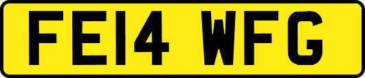FE14WFG