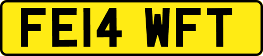 FE14WFT