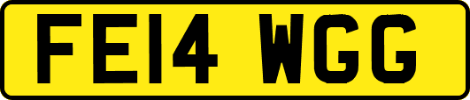 FE14WGG