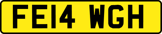 FE14WGH
