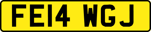 FE14WGJ
