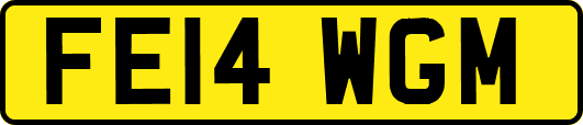 FE14WGM