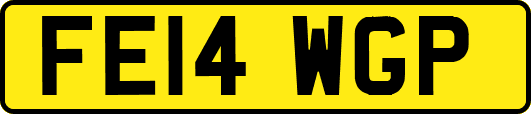 FE14WGP