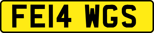 FE14WGS