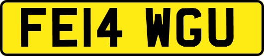 FE14WGU