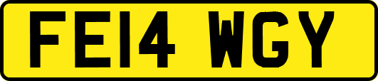 FE14WGY