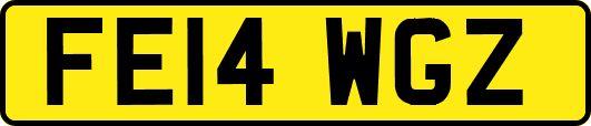 FE14WGZ