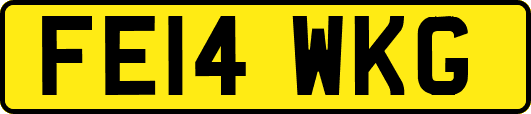 FE14WKG