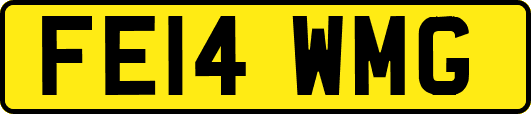 FE14WMG